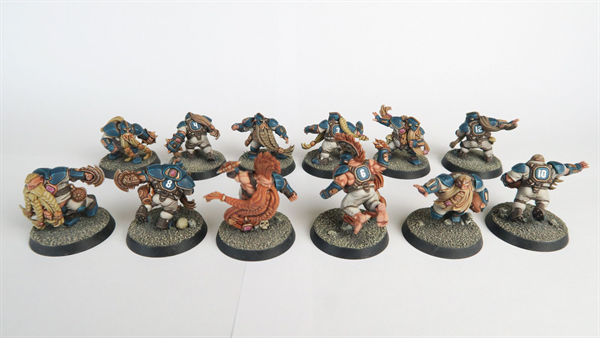 Blood Bowl - Dwarf Team
