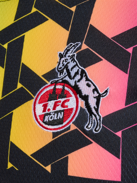HUMMEL - 1. FC K�ln GK Jersey, Torwarttrikot