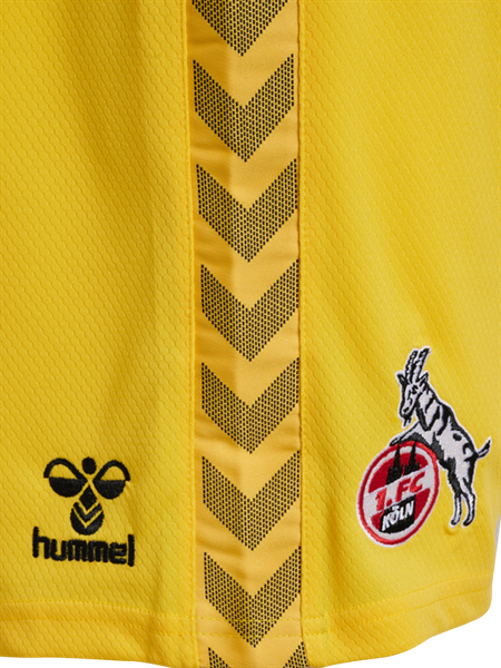 HUMMEL - 1FCK 23/24 GK SHORTS, Hose
