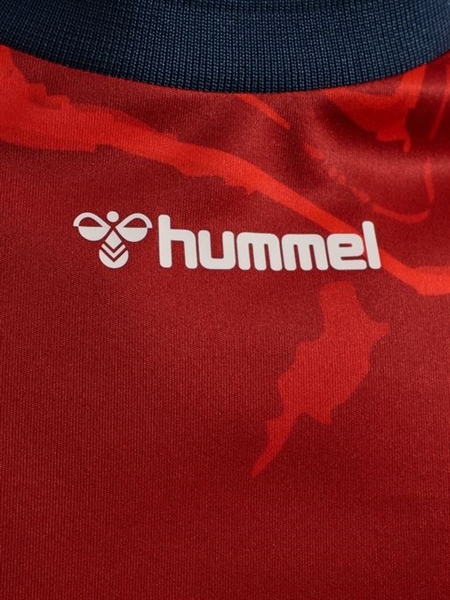 HUMMEL - SGFH 25/26 HOME JERSEY KIDS S/S, Trikot