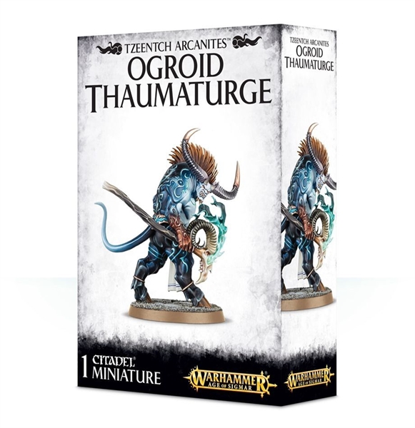 Warhammer Age of Sigmar - Tzeentch Arcanites