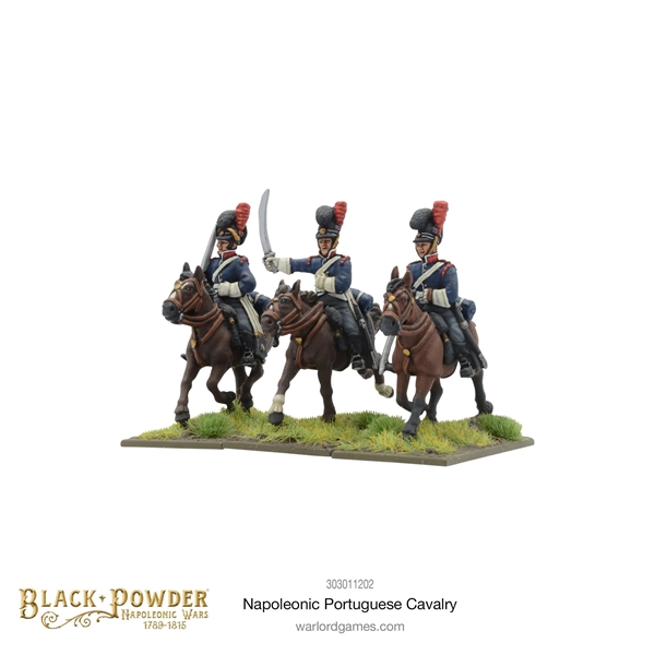 Black Powder - Napoleonic War