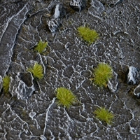 Gamers Grass - Tiny Tufts Dry Green (2mm)