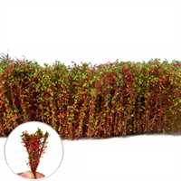 Green Stuff World - Tall Shrubs Red-Green