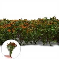 Green Stuff World - Tall Shrubs Brown-Green