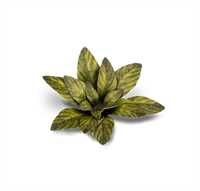 Gamers Grass - Papierpflanzen (Pre Painted)