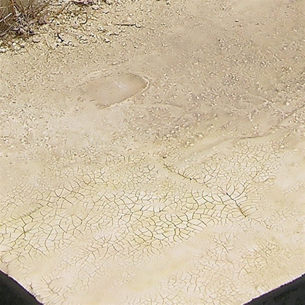 AK Interactive - Diorama: Light&Dry Crackle Effect