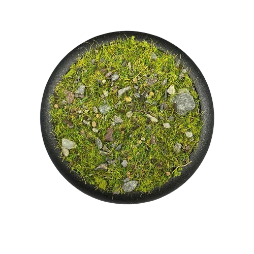 Krautcover - Basecover