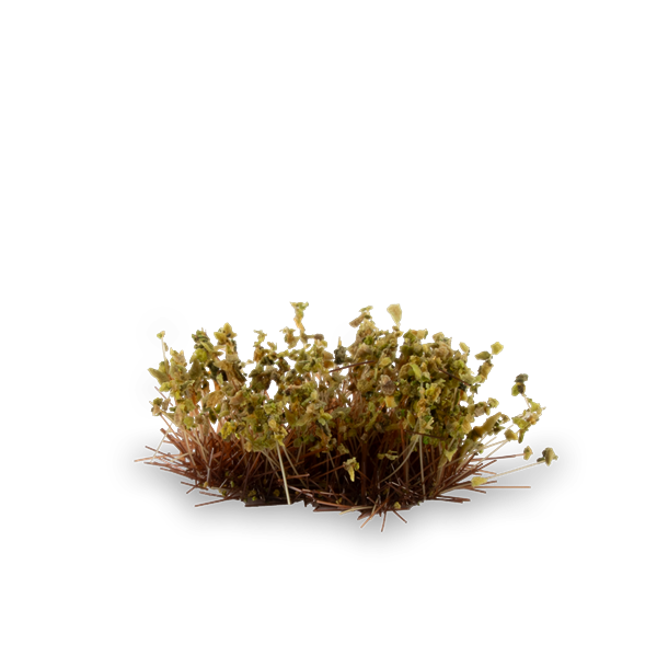 Gamers Grass - Shrubs Dry Green (6mm)