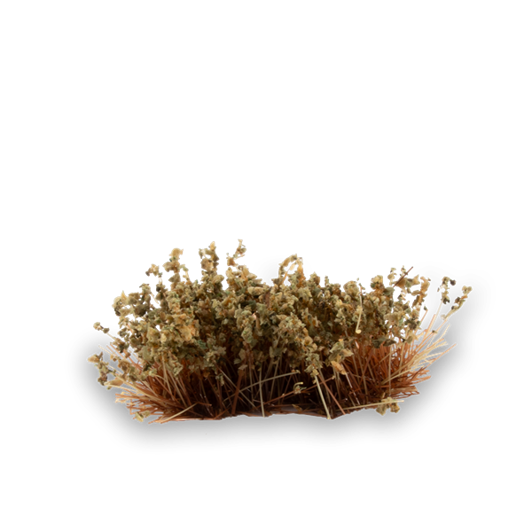 Gamers Grass - Shrubs Swamp (6mm)
