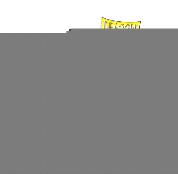 Dragon Shield - 24-Pocket Pages