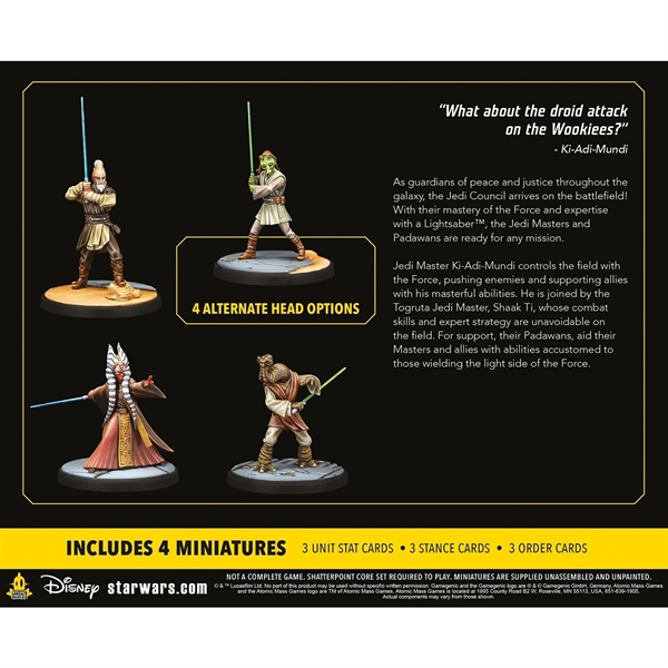 Star Wars: Shatterpoint - Wisdowm of the Council