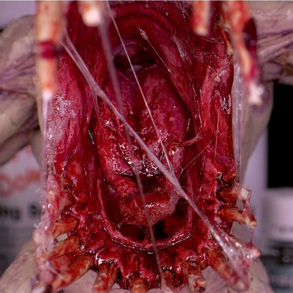 Modelmates - Dirty Down, Snot