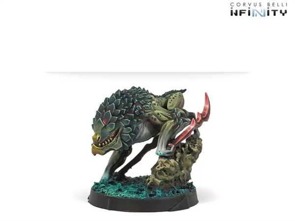 Infinity - Combined Army