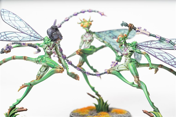 Conquest - Weaver Courts