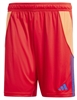 Adidas - Tiro 24 Shorts