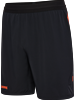 HUMMEL - hmlBLAZE Pro Training Shorts, Hose