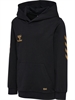 Hummel - hmlE24C Cotton, Kinder Hoodie
