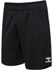 SSV ZUFFENHAUSEN – Hummel hmlESSENTIAL SHORTS, Trikothose