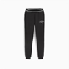 PUMA - SQUAD Sweatpants TR cl, Jogginghose