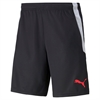 Puma - TeamLIGA, Training Shorts 2
