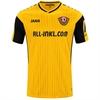 Jako - Dynamo Dresden Heim Trikot 26/27, Fantrikot