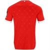 JAKO - Mainz 05 Heimtrikot 26/27, Trikot