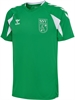 SSV ZUFFENHAUSEN – Hummel hmlCORE 2.0 JERSEY S/S, Trikot