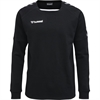 Hummel - hmlAUTHENTIC Training, Sweatshirt