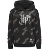 Hummel - HARRY POTTER HOODIE