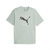 Puma - BETTER SPORTSWEAR Tee, Herren