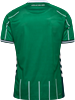 HUMMEL - Werder Bremen 25/26 Home Jersey Wmns S/S, Trikot