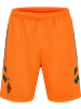 HUMMEL - SV Werder Bremen Anniv.GK Shorts 24, Hose