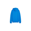 Puma - teamGOAL Casual Hooded Jacket Mens, Kapuzenjacke
