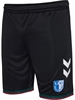 HUMMEL - 1FCM 24/25 3RD SHORTS, Hose