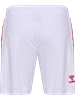 HUMMEL - 1FCK 23/24 HOME SHORTS, Hose