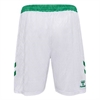 HUMMEL - WER 24/25 HOME SHORTS, Hose