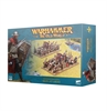 Warhammer Old World - Kingdom of Bretonnia