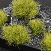 Gamers Grass - Tufts Jungle XL (12mm)