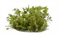 Gamers Grass - Shrubs Green (6mm)