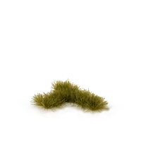 Gamers Grass - Tufts Dry Green (2mm)