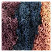 Green Stuff World - Islandmoos