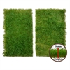 Green Stuff World - Grasmatte, Ponderosa Meadow