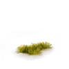 Gamers Grass - Tufts Moss (2mm)