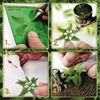 Green Stuff World - Papierpflanzen