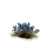 Gamers Grass - Bluebeard Flowers (6mm)