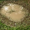 AK Interactive - Diorama: Puddles