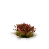 Gamers Grass - Red Camellia Flowers (6mm)