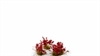 Gamers Grass - Poppy Tiny Flowers (4mm)
