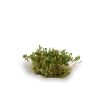 Gamers Grass - Shrubs Strong Green (6mm)